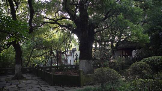 杭州吴山景区有美堂遗址