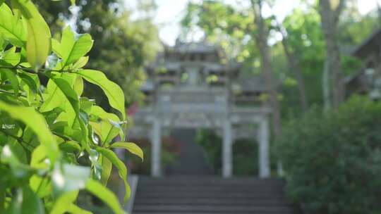 万松书院