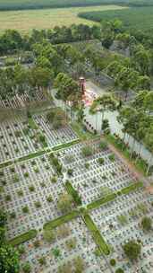 越南古池战争公墓鸟瞰图