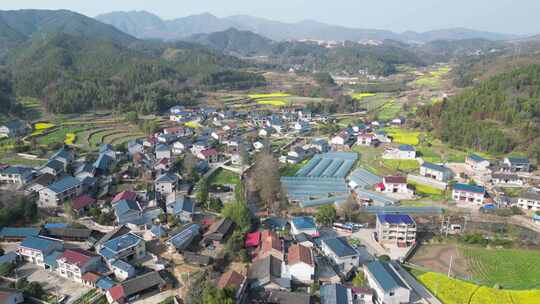 美丽乡村农业种植航拍