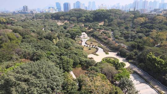 中山公园 深圳 深圳南山 深圳中山公园