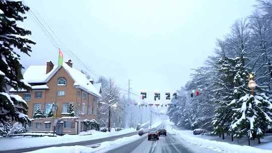 雪后街道两旁树木房屋银装素裹