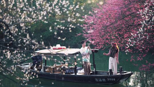 杭州西溪湿地梅花