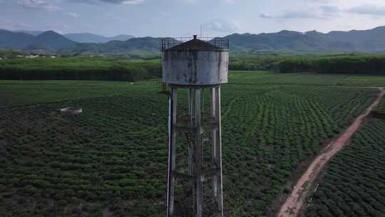 茶园水塔航拍