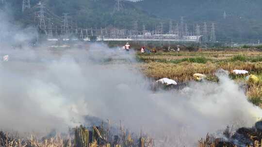 惠州万亩现代化实验农田航拍