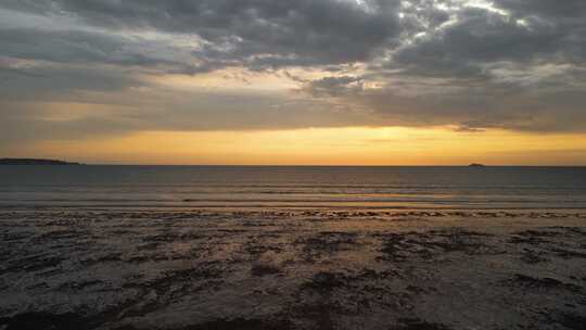 海岸线夕阳黄昏金色天空海边美丽大海海鸟