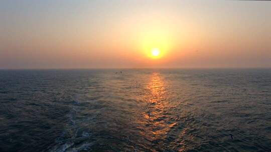 夕阳下的海鸥在海面上自由飞翔广角