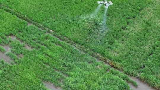 农业大数据智慧农业无人机植保灌溉