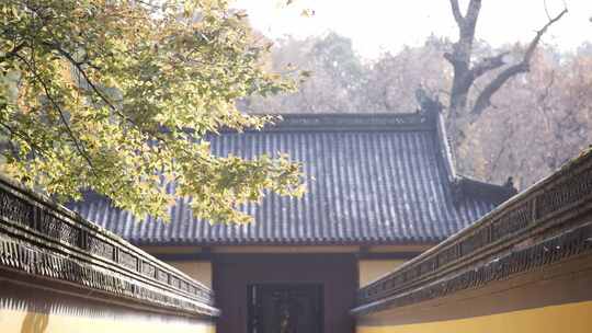 新昌大佛寺视频素材模板下载