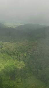 菲律宾山区省的热带森林