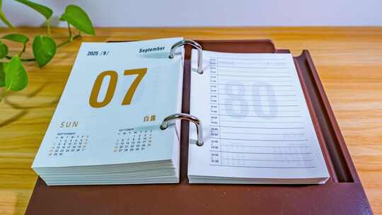 2025蛇年日历翻页春节元旦除夕