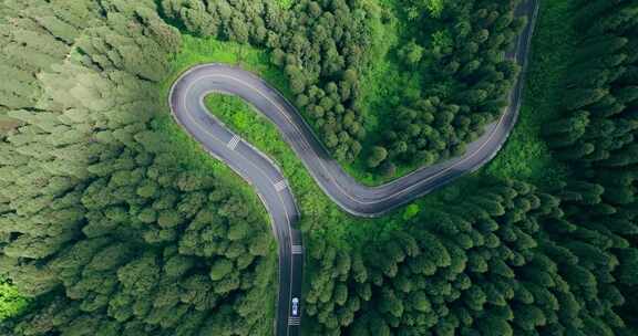 汽车行驶在山地森林道路中