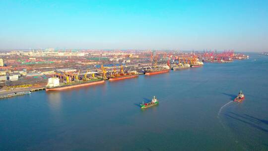 天津滨海新区天津港港口货运航拍视频素材模板下载