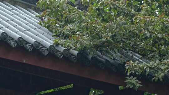 重庆雨季下雨屋檐实拍