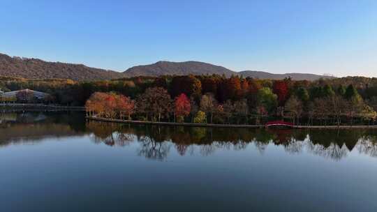 江苏南京灵山风景区前湖秋天秋色航拍