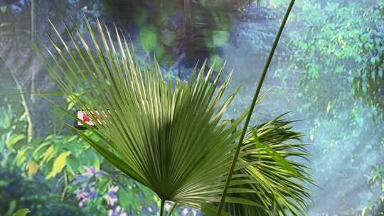 济南科技馆热带雨林动物、植物展览