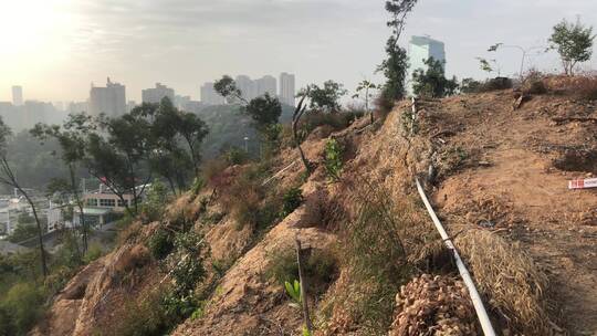 荒山景观