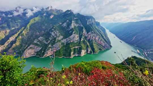 三峡红叶