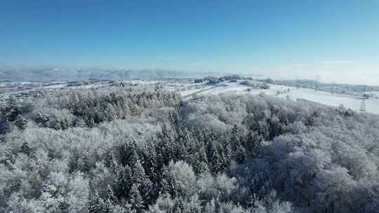 东北大雪覆盖森林