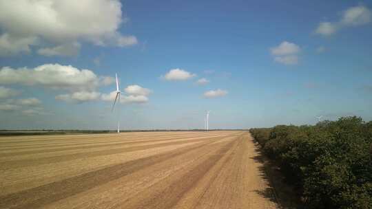 风力涡轮机.风力发电厂.可再生能源