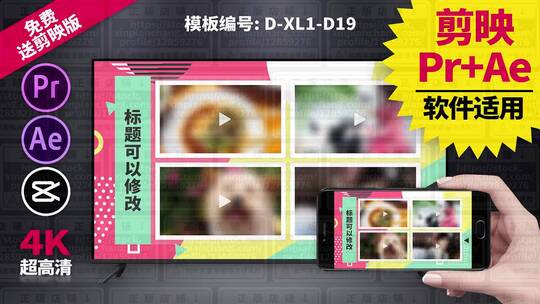 视频包装模板Pr+Ae+抖音剪映 D-XL1-D19