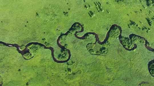 航拍森林湿地曲水河湾