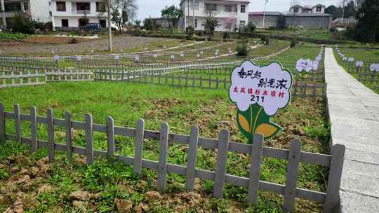 劳动空镜刨土锄地农场工人耕作劳作翻土