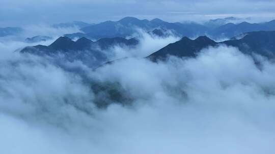 山川云雾 高山 森林植被