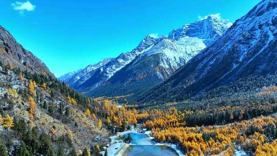 雪山下多彩树林与湖泊相映的美景