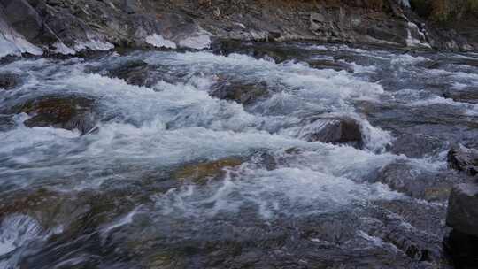 冬季溪流水流水花