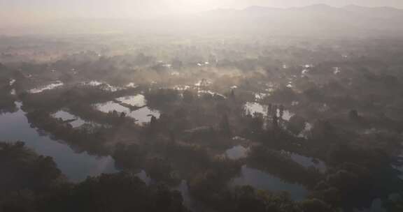 中国杭州西溪湿地云雾缭绕水墨画