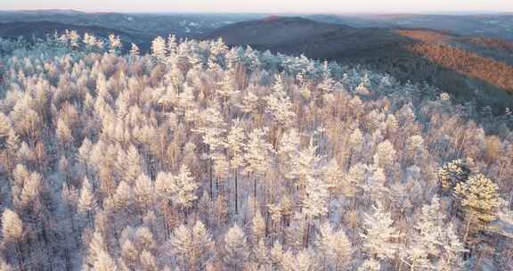 航拍大兴安岭冬季风光、冰雪、雾凇