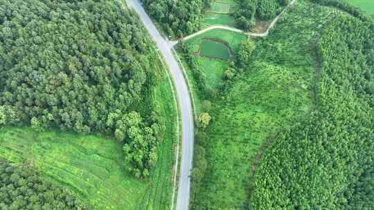 森林公路航拍乡村道路俯拍绿色山路风景风光