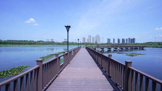 武汉杨春湖城市生态公园风景