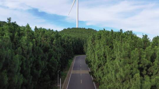 风车树林蓝天白云小清新天空夏天的感觉风景