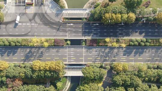 俯拍 城市 大道 绿化 植物 交通