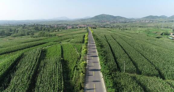 4k航拍山东乡村道路