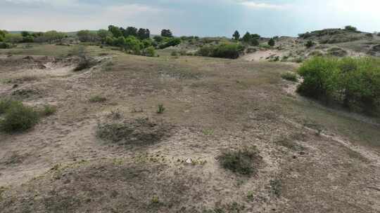 荒野沙地植被景观