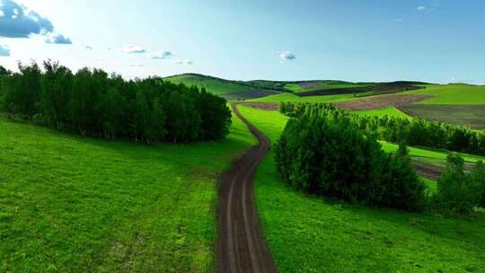绿色田野间的蜿蜒乡村小路