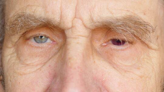 老人的眼神视频素材模板下载