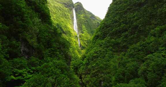 留尼汪岛，瀑布，森林，山脉