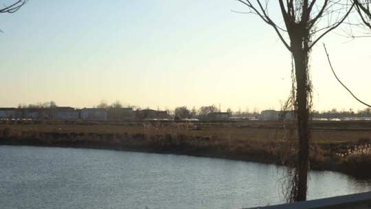 河流 小溪 田园风光 路边风景 灌木丛 旅行