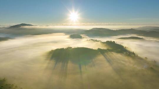 茶山茶园云海日出