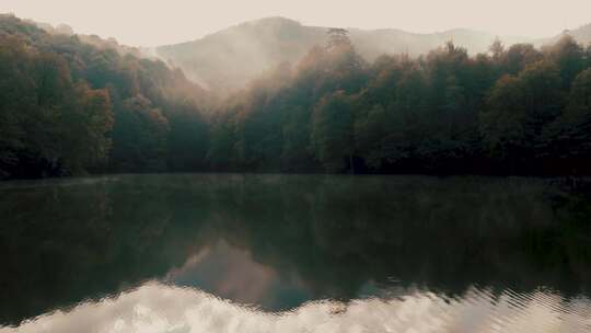 森林中平静美丽的湖