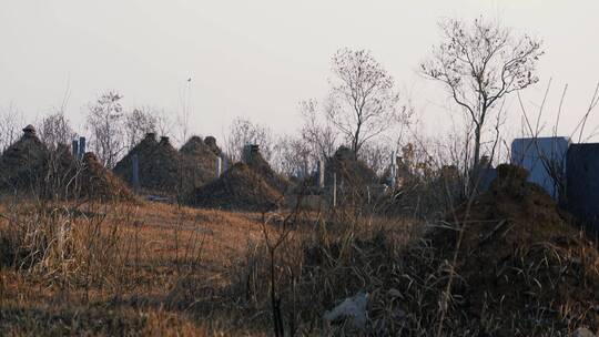 农村坟头视频素材