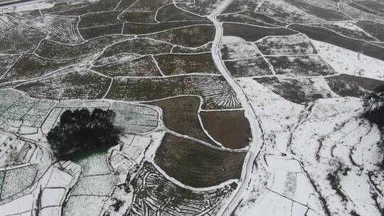 航拍农田农业种植冬天雪景