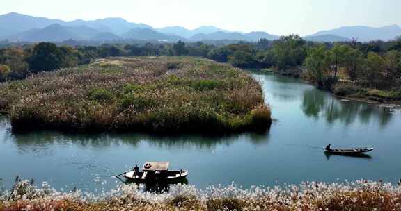 中国杭州西溪湿地秋日美景