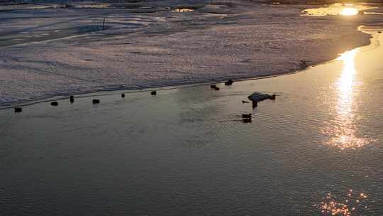 航拍雪景 唯美冬日空镜 立冬 冬至节气