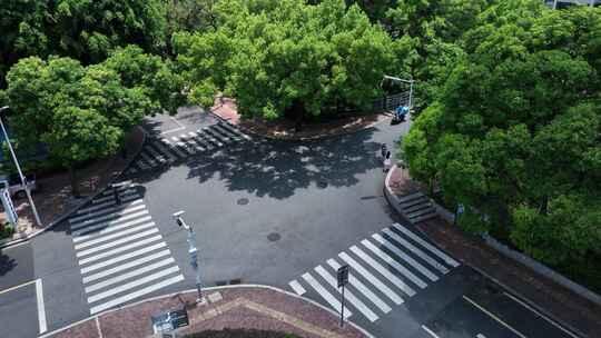 城市街道路口小区街景道路交通绿化十字路口