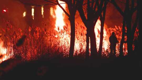 火灾大火山火现场视频素材模板下载